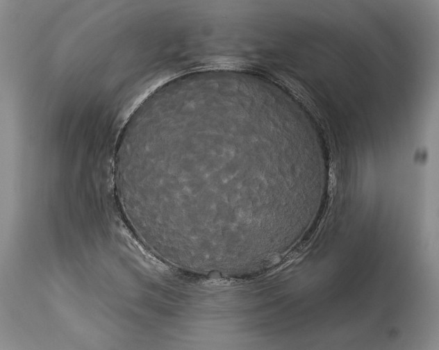 X0000114191212200910231313