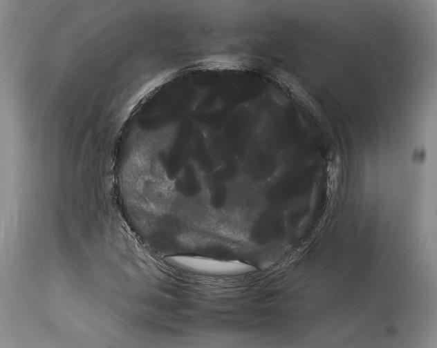 X0000114191213200910231313