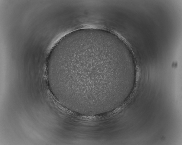 X0000114191215200910231313