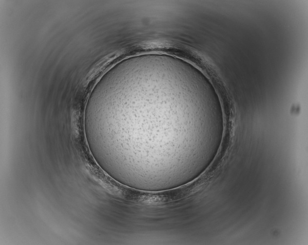 X0000114191217200910231313