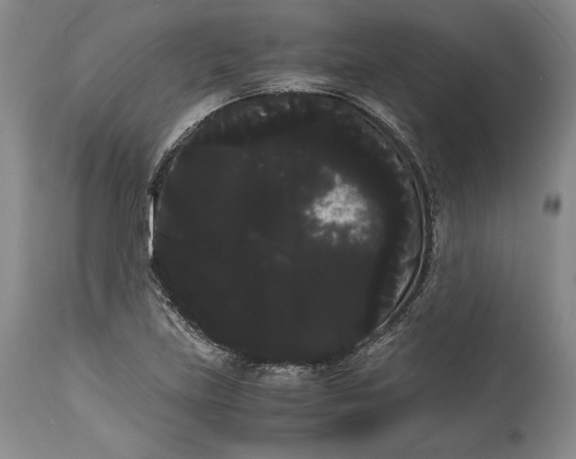 X0000114191219200910231313