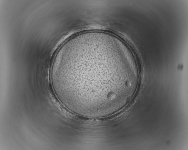 X0000114191220200910231313