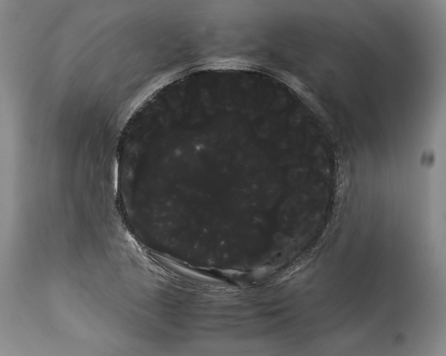 X0000114191221200910231313