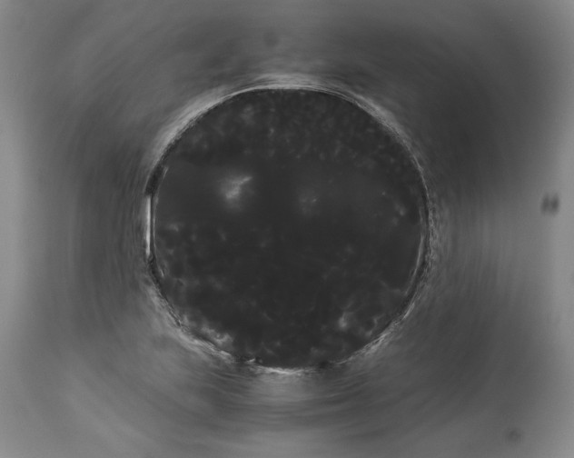 X0000114191223200910231313