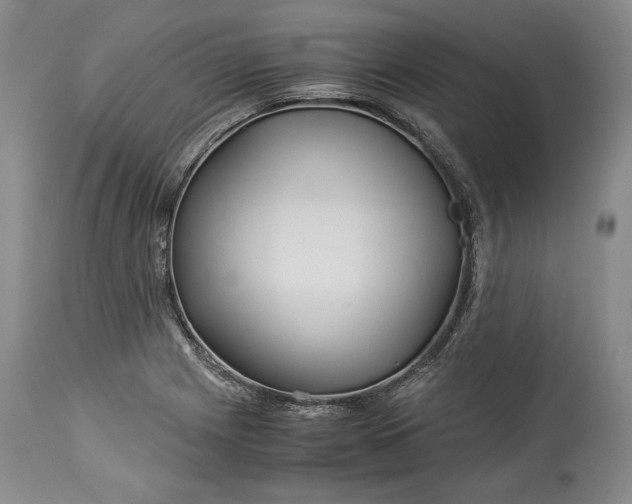 X0000114191225200910231313