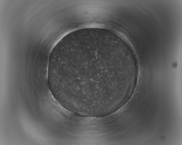 X0000114191228200910231313