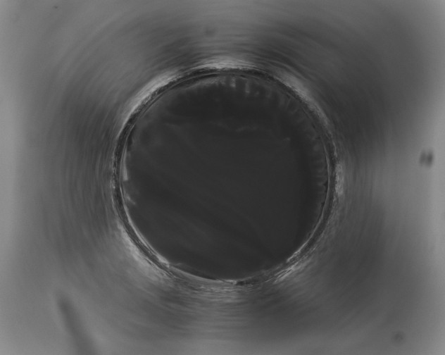 X0000114191229200910231313