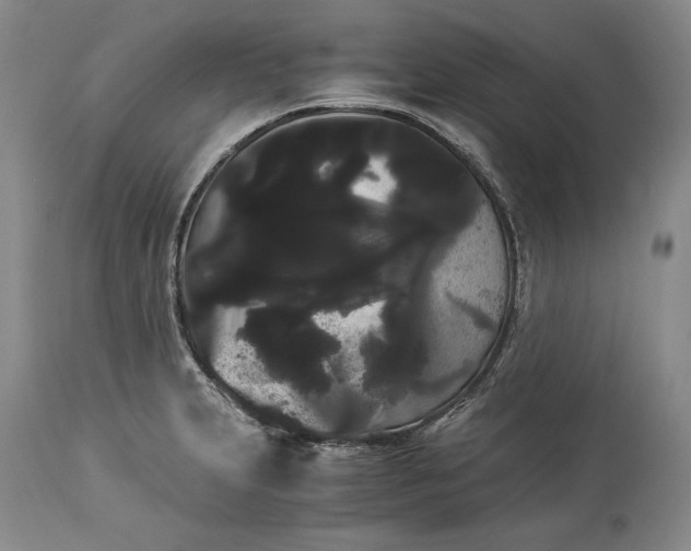 X0000114191231200910231313