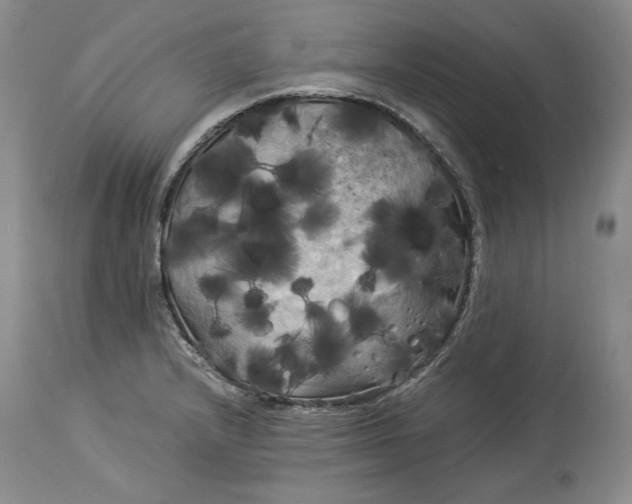 X0000114191232200910231313
