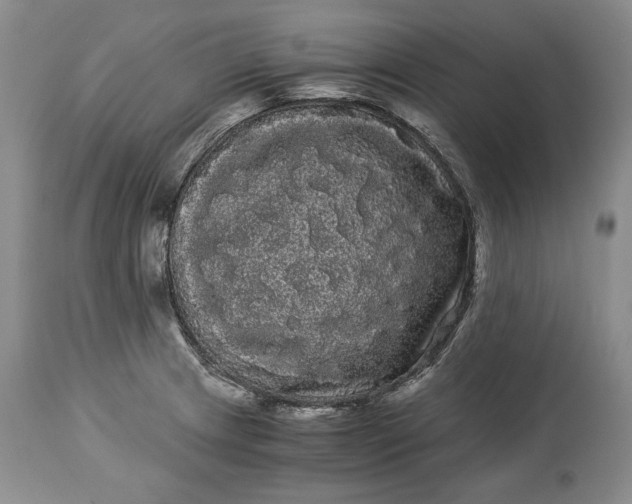 X0000114191233200910231313