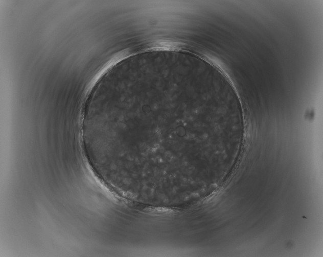 X0000114191235200910231313