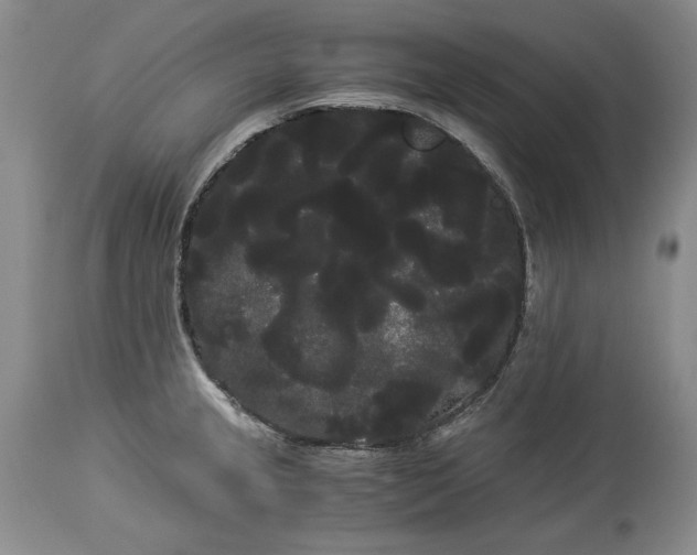 X0000114191237200910231313