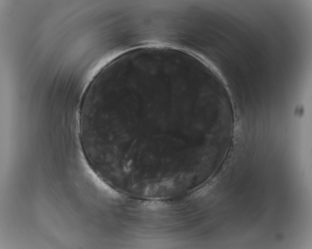 X0000114191239200910231313