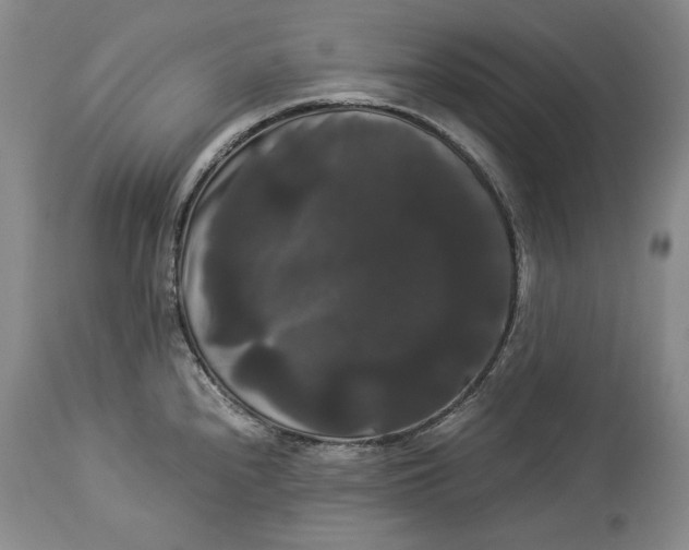 X0000114191240200910231313
