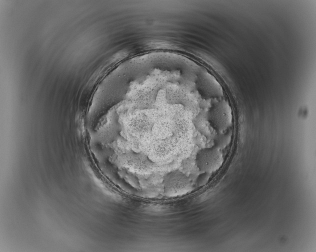 X0000114191241200910231313