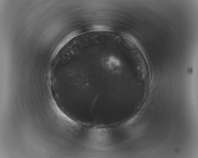 X0000114191243200910231313