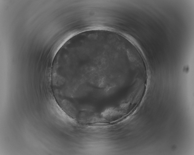 X0000114191244200910231313