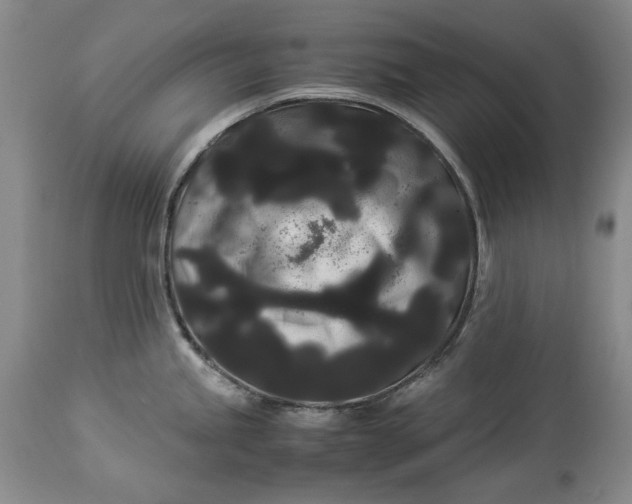 X0000114191245200910231313