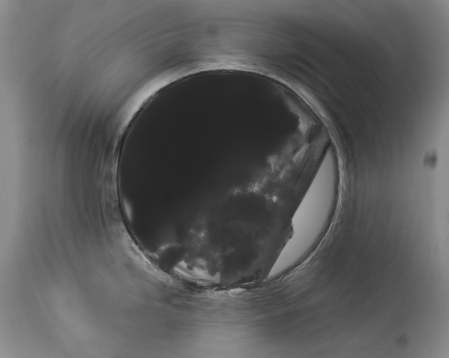 X0000114191246200910231313