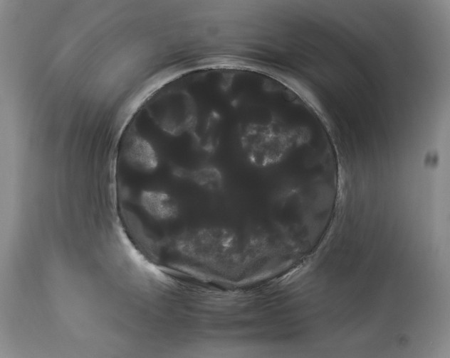 X0000114191247200910231313