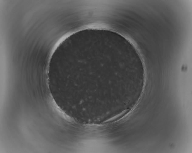 X0000114191248200910231313