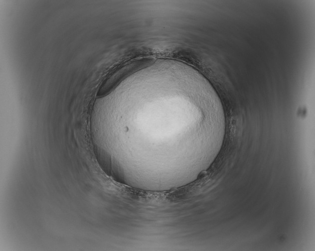 X0000114191249200910231313