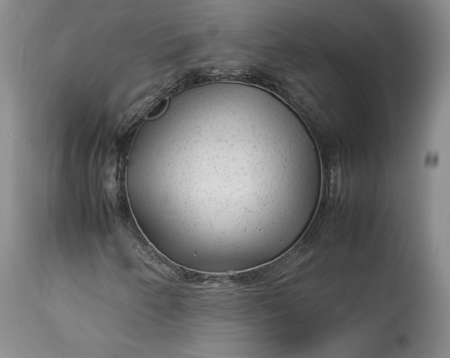 X0000114191250200910231313