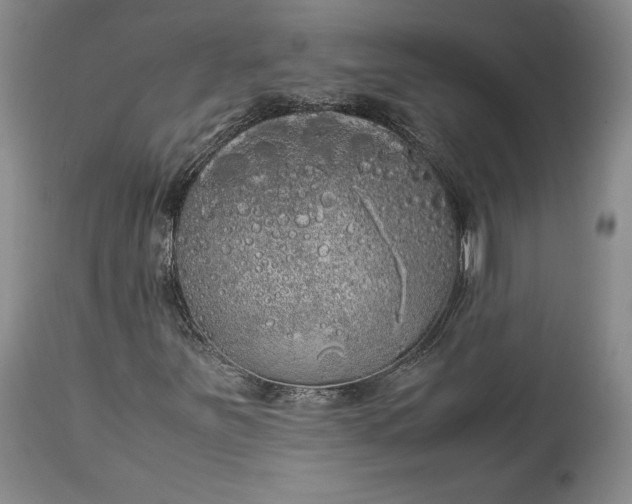 X0000114191251200910231313