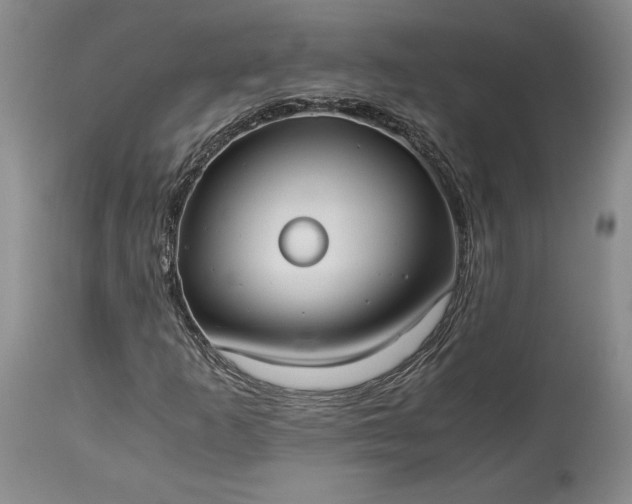 X0000114191253200910231313