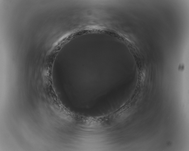 X0000114191254200910231313