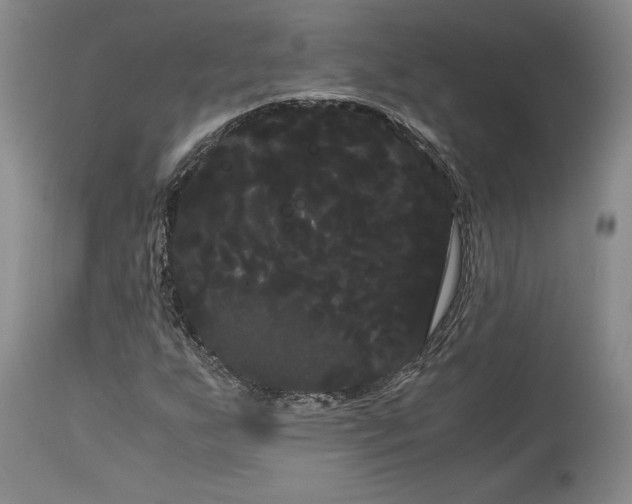 X0000114191255200910231313