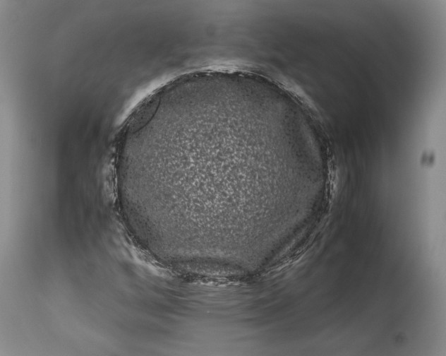 X0000114191256200910231313