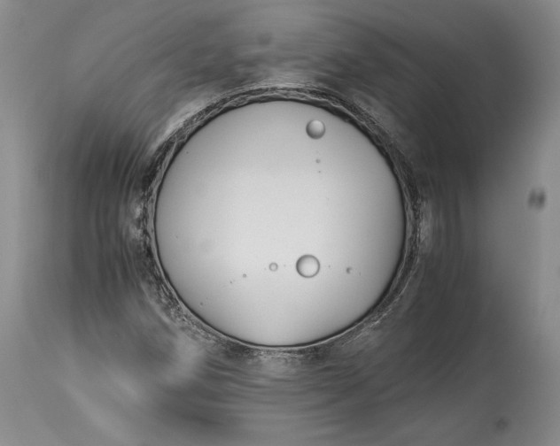 X0000114191258200910231313