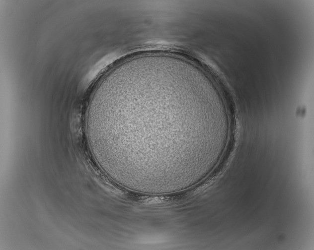 X0000114191259200910231313