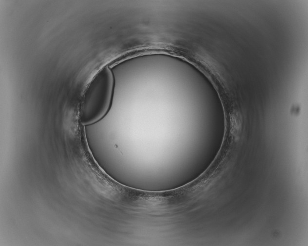 X0000114191260200910231313