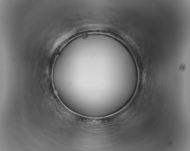 X0000114191261200910231313