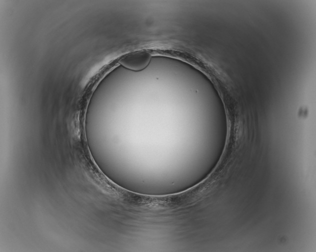 X0000114191262200910231312