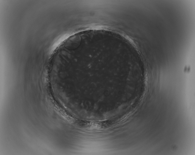 X0000114191263200910231312