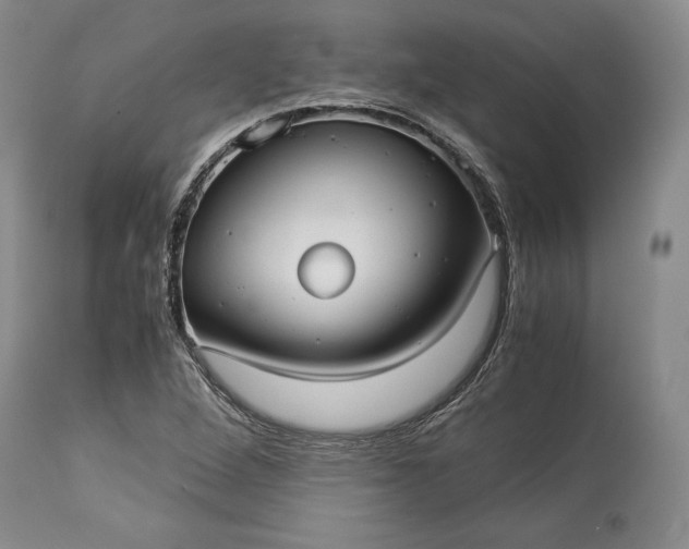 X0000114191264200910231312