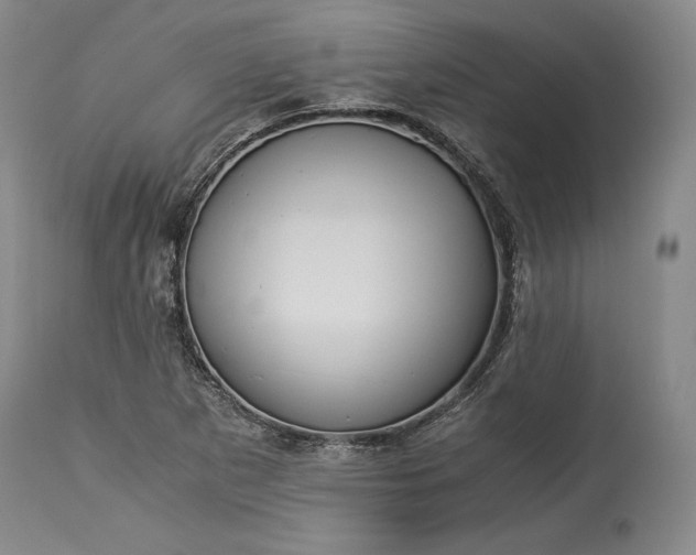 X0000114191265200910231312