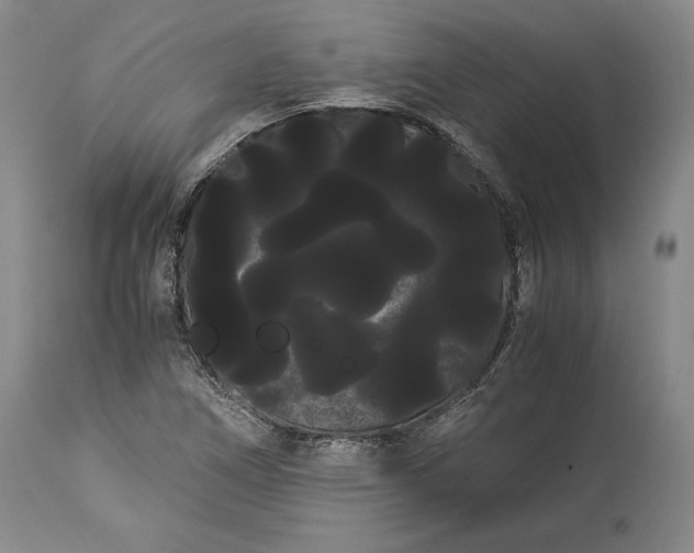 X0000114191266200910231312
