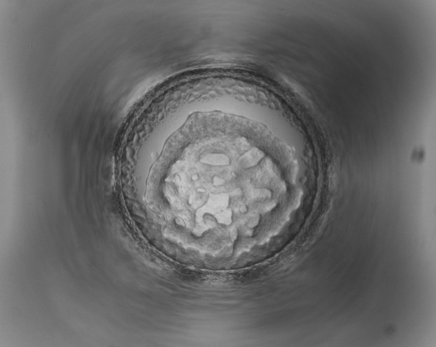 X0000114191267200910231312