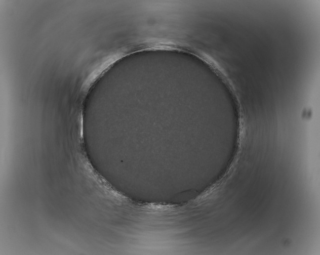 X0000114191269200910231312