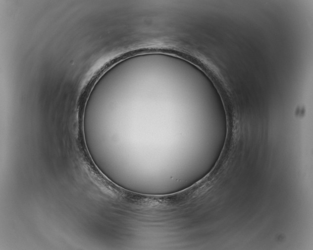 X0000114191270200910231312