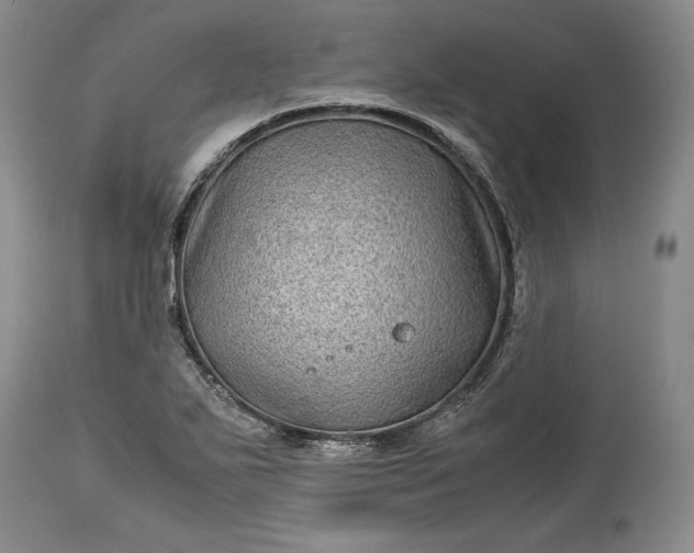 X0000114191271200910231312