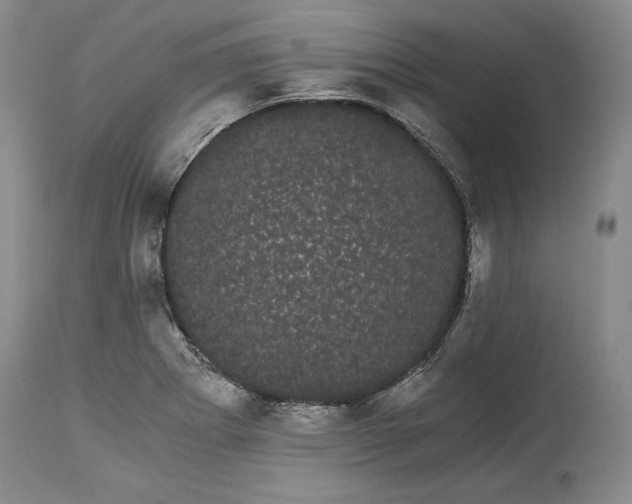 X0000114191273200910231312
