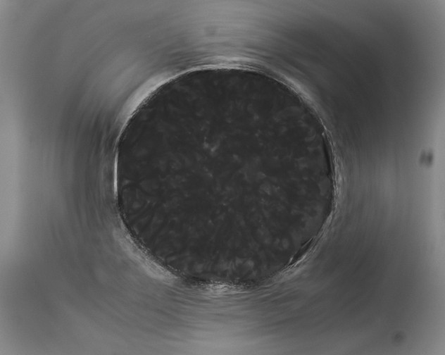 X0000114191275200910231312