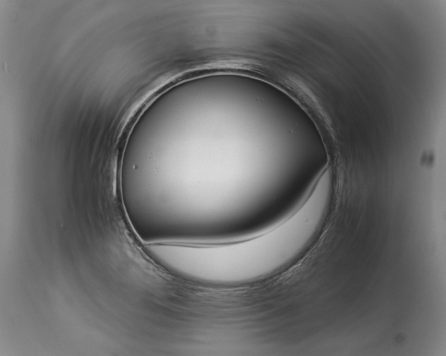 X0000114191276200910231312