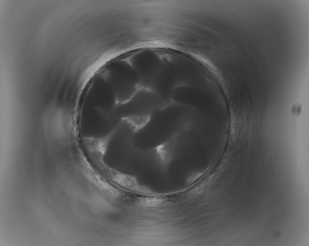X0000114191278200910231312