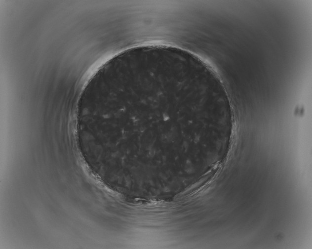 X0000114191279200910231312